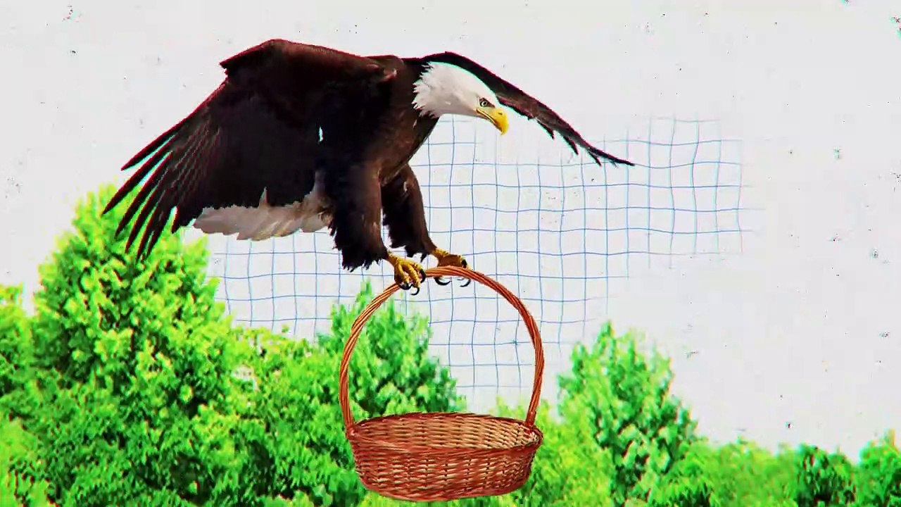 Heartless Hunting Moments of the Hungry Eagle