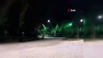 Çöp karıştıran yavru ayıya köpekler saldırdı!