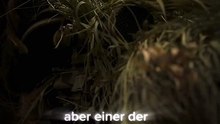 Bundesheer Clip