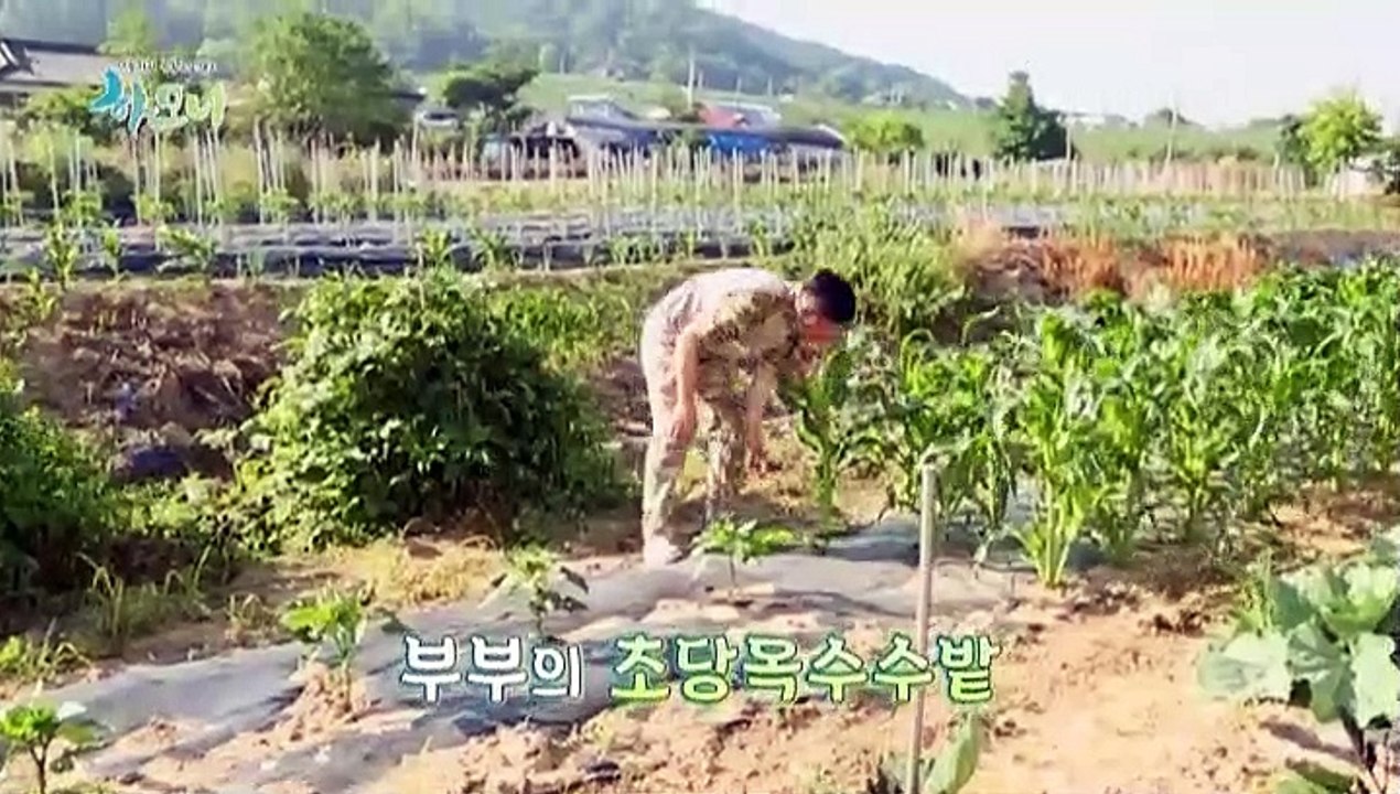 [하모니] 한일 부부의 달콤살벌한 귀농일기 - 1부