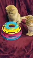 Вечерние посиделки