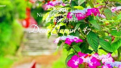 Wakayama   Niutuhime  shrine  丹生都比売神社