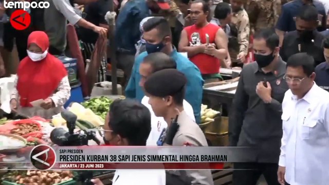 38 Ekor Sapi Kurban dari Presiden Joko Widodo Berjenis Simmental Hingga Brahman