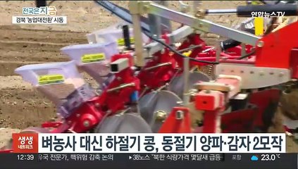 콩·감자 2모작·공동영농으로 '규모의 농업' 전환…"농가 소득 2배"