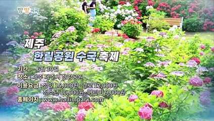 [영상구성] 방방곡곡