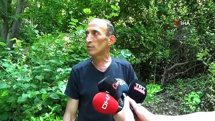 La récolte a commencé dans les célèbres forêts de tilleuls de Karacabey