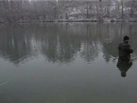 Superbe truite fario sous la neige