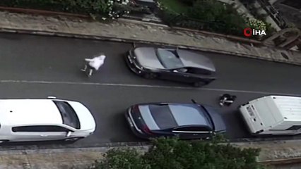 Une voiture a percuté 2 enfants qui avaient peur du bruit des chiens à Ordu