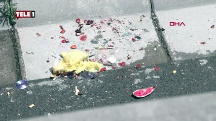 İstanbul'da Sivrisinek istilası! Cep telefonuyla kaydetti