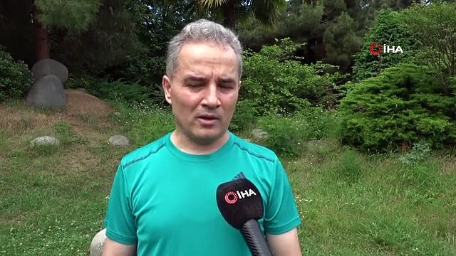 Prof. Dr. Şağdan Başkaya: Sahipsiz hayvan, sokak köpeği bu tanımlamaların hiçbirine katılmıyorum; Başıboş köpek olmaz