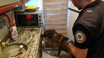 Opération antidrogue à Bursa : 49 personnes arrêtées