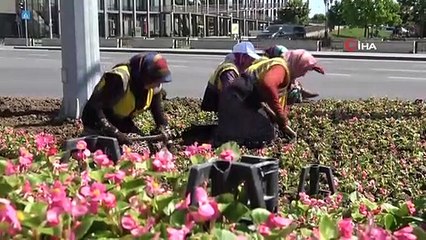 Kadınların Yakıcı Güneş Altında Ekmek Mücadelesi: Şehri Onlar Süslüyor