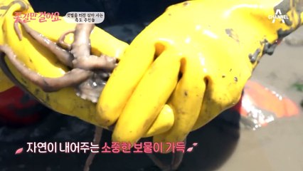 평생 갯벌과 함께 살아온 주인공 박봉녀 씨✿ 그녀를 만나기 위한 길동무의 험난한 여정!