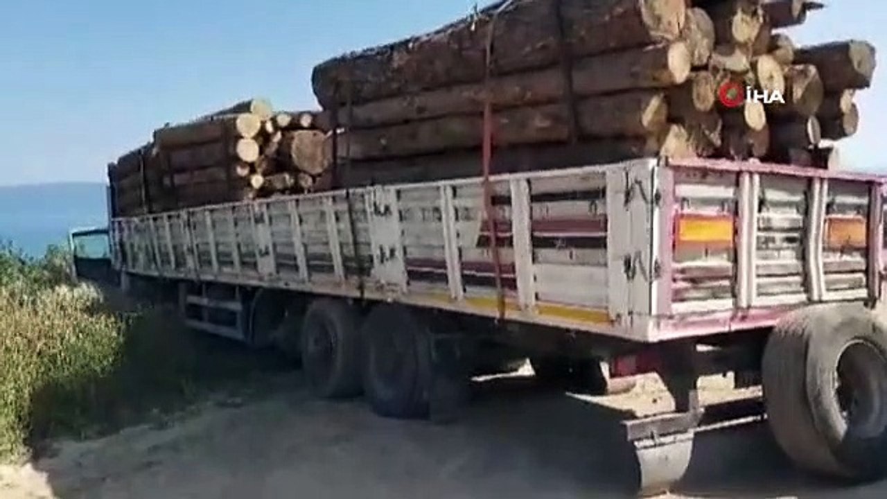 Il a pu s'arrêter lorsque le pneu du camion chargé de bûches a explosé... Ces instants ont été filmés.