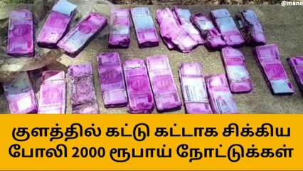 குளத்தில் 2000 ரூபாய் நோட்டுகள் சிக்கின - அதிர்ச்சி !