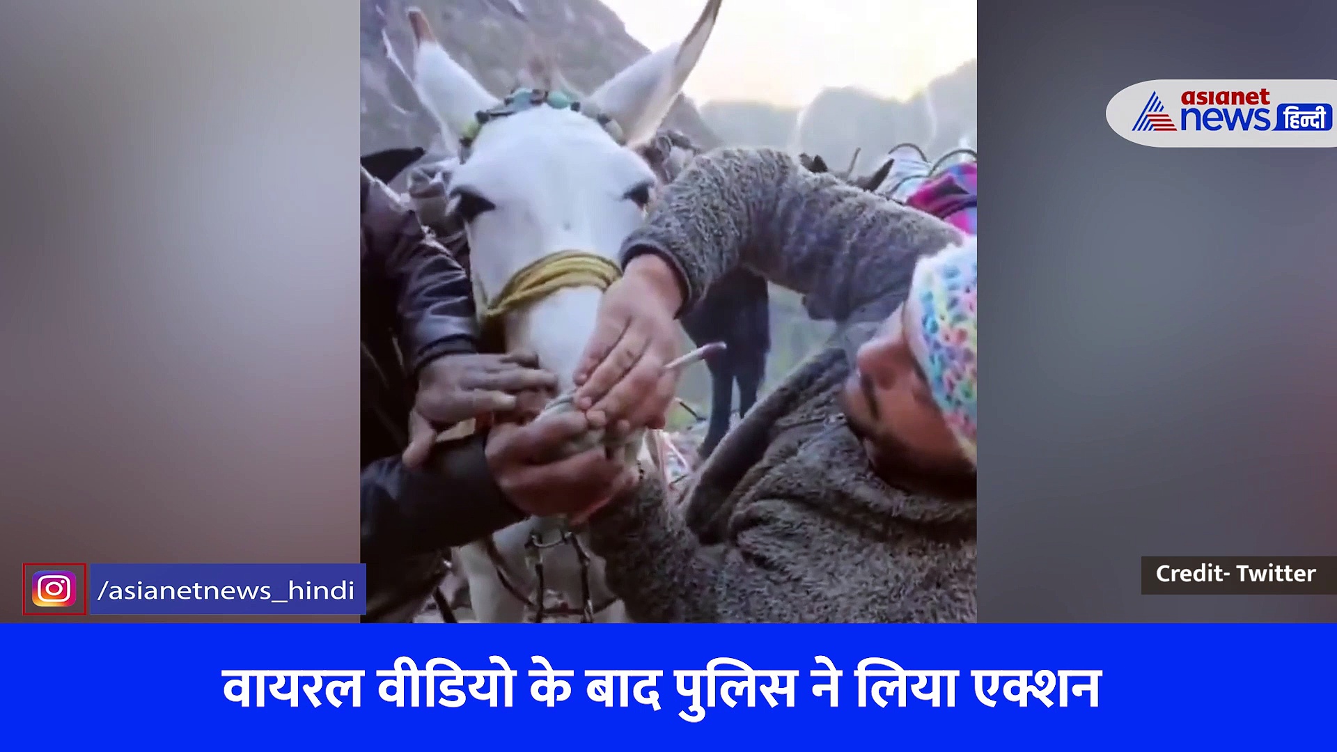 Kedarnath Viral video: कितना मतलबी हो गया इंसान! घोड़े-खच्चरों के साथ पहले नहीं देखी होगी ऐसी बर्बरता