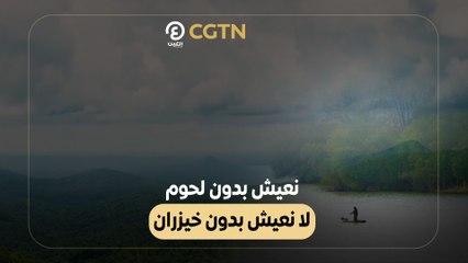 نعيش بدون لحوم لا نعيش بدون خيزران