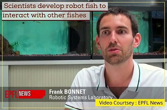 Scientists develop robot fish to interact with other fishes
