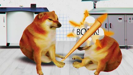 The Dog Owners Didn't Want It to Die and That's What They Did