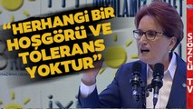 Meral Akşener'den Altılı Masa'ya 'HDP' Çıkışı! 'Size Hayatta Başarılar Diliyorum'