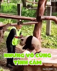 Pandabiz chẳng hề xà lơ, chỉ toàn những đỉnh lưu có miếng, vô tri nhưng không tai tiếng | Điện Ảnh Net