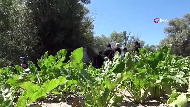 Le fermier a été frappé par l'électricité： Les portes du barrage générateur d'électricité ont été ouvertes, inondant des centaines d'acres de terre