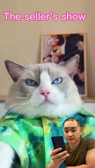 Don’t be fooled,let me test it first