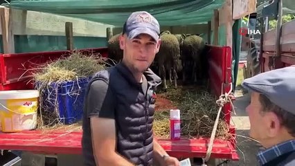 Kurban Pazarlarında Hareketlilik
