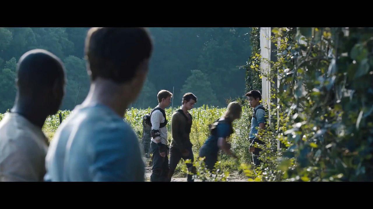 The Maze Runner - Official Trailer