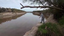 Pesca de Bagre Moncholo en el rio gualeguay, Balneario Dr. Delio Panizza, Rosario del Tala