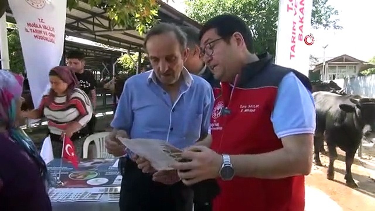 102 points d'abattage sacrificiel ont été créés à Muğla