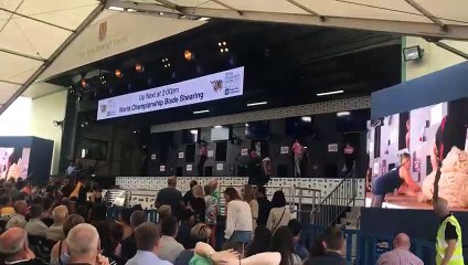 Protesters disrupt Royal Highland Show