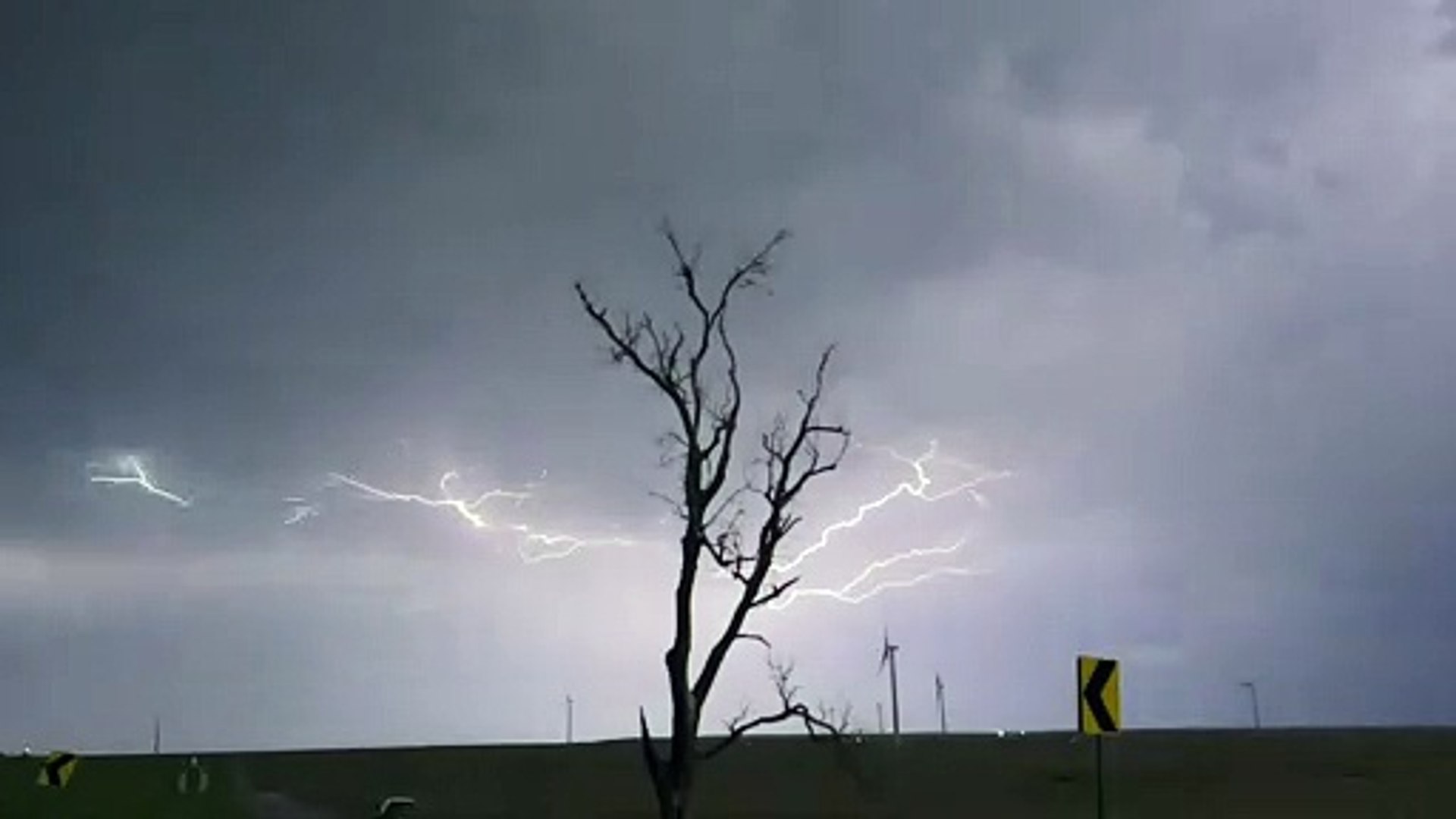 Tree Of Lightning