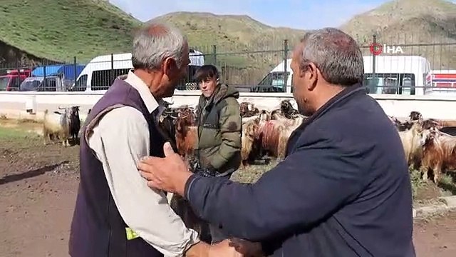 S'intéresser aux petits sacrifices de bétail