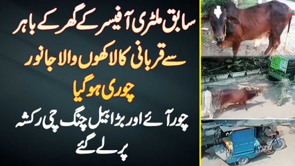 Descargar video: Ex Army Officer Ke Ghar Ke Bahar Qurbani Ka Laakhon Ka Janwar Chori - Chor Bail Rickshaw Par Le Gae