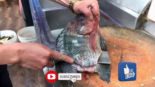 fresh tilapia cutting new method | Fresh fish cutting Alive | Alive fish cutting