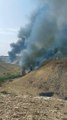 فرق الدفاع المدني بالرياض تباشر حريقًا في حشائش وأعشاب في وادي نمار