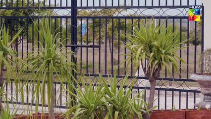 Pehli Nazar Ki Mohabbat !! #faizagillani #bilalqureshi - Meesni - FLO Digital