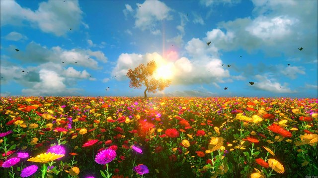 8D MuSic | Folk muSics | Royalty Free MuSic (2)