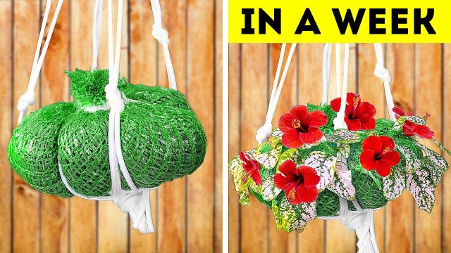 Fantastic Gardening Hacks! Simple Tips For A Thriving Garden