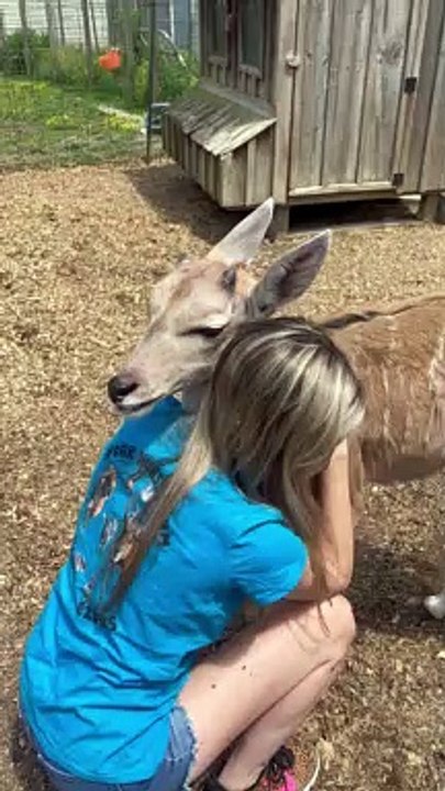 Hugs From An Antelope