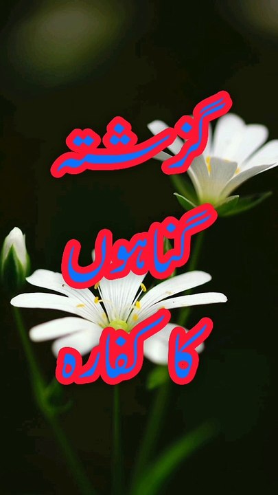 Hadees Sharif | Hadees in Urdu | HadeesPak | #hadees #shorts