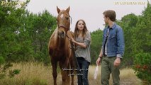 Pegasus: Pony With a Broken Wing Bande-annonce (EN)