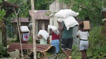 “No se hagan los de la vista gorda”: llamado del defensor del Pueblo frente a crisis humanitaria en Chocó