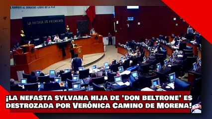 ¡VEAN! ¡la nefasta Sylvana, hija de ‘don Beltrone’, es destrozada por la senadora Camino de Morena!