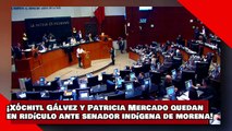 ¡VEAN! ¡Xóchitl Gálvez y Patricia Mercado quedan en ridículo ante senador indígena de morena!