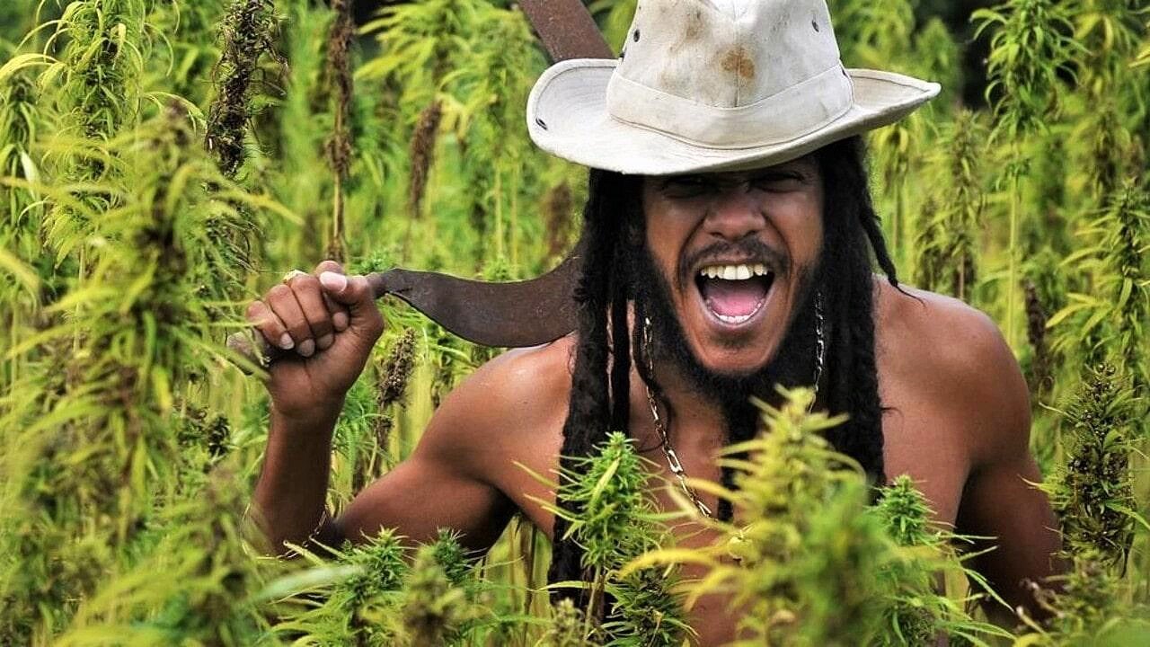 Yaniss Odua - My Best Songs Mix