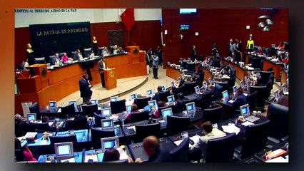 ¡VEAN! ¡El Fócil perredista es machacado por el senador Padilla del PT por defender a Lencho!