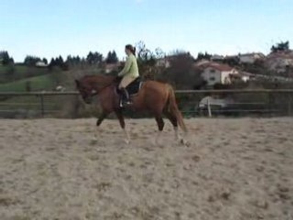 MOV02365