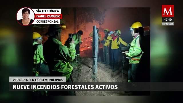 Persisten incendios forestales en Veracruz; hay nueve aún activos